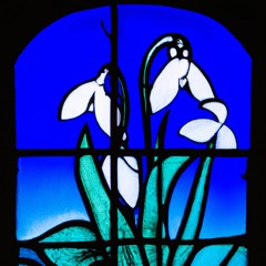 Incorruptible Bodies