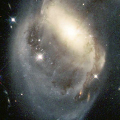 yungskinnybitchasshoe