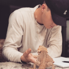 dylanpape