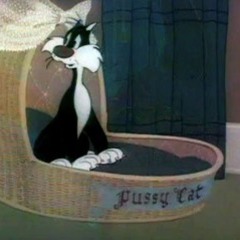 pussycat