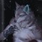 TheCityWolf