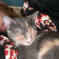 bluevcat