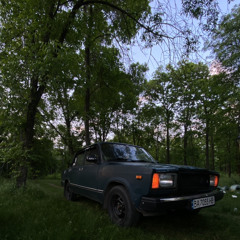 Vladyslav Parkhomenko