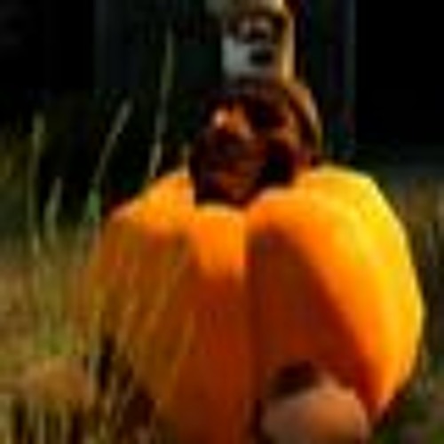 Soupcan Pumpkin’s avatar