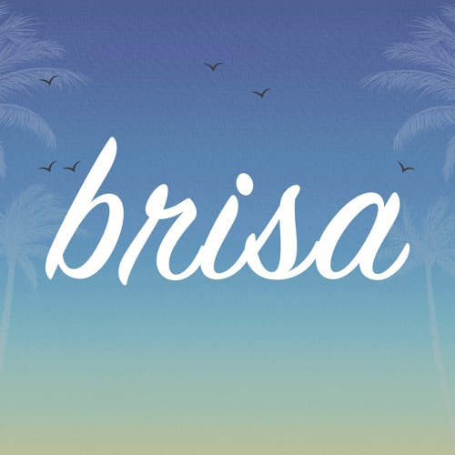 Brisa Sonora’s avatar