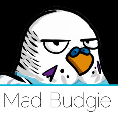 Mad Budgies