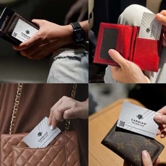 Cardian The Safecard