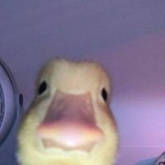 matthew jacob murdoch