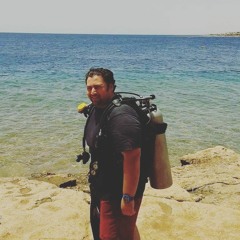 hussein labib
