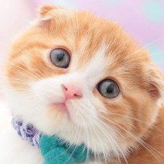 Allyssa Jane “AJ” Jove