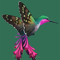 LazyHummingbird