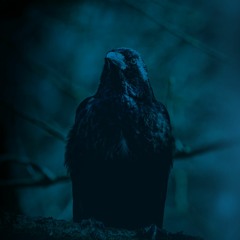 Bad Raven