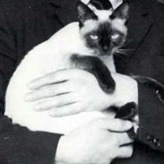 sveta