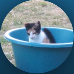 why sundays are so depressing? :3