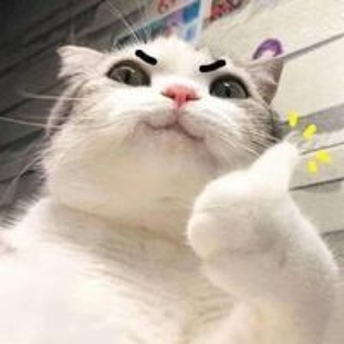 Phai dấu cuộc tình (Chinese giọng nữ hot tiktok) remix