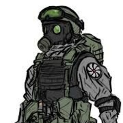 CHAOS INSURGENCY