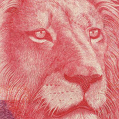 Daniel King