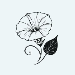 The Mourning Glorys