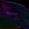 Techno ist Liebe
