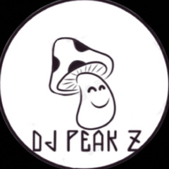 DJ PEAK Z