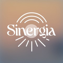 Sinergia Flows