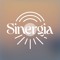 Sinergia Flows