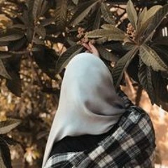 Sara Abdulbaqi