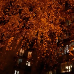 Диана Макаренко💚