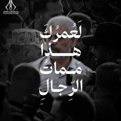 ميمون