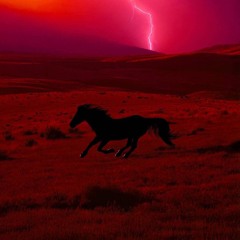 مُحَمَّـد أبو القاسم