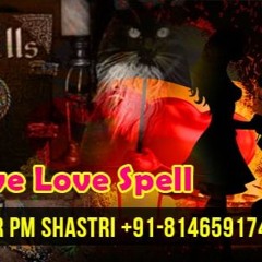 Astrologer pm shashtri ji