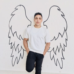 محمدسلامه الشربيني