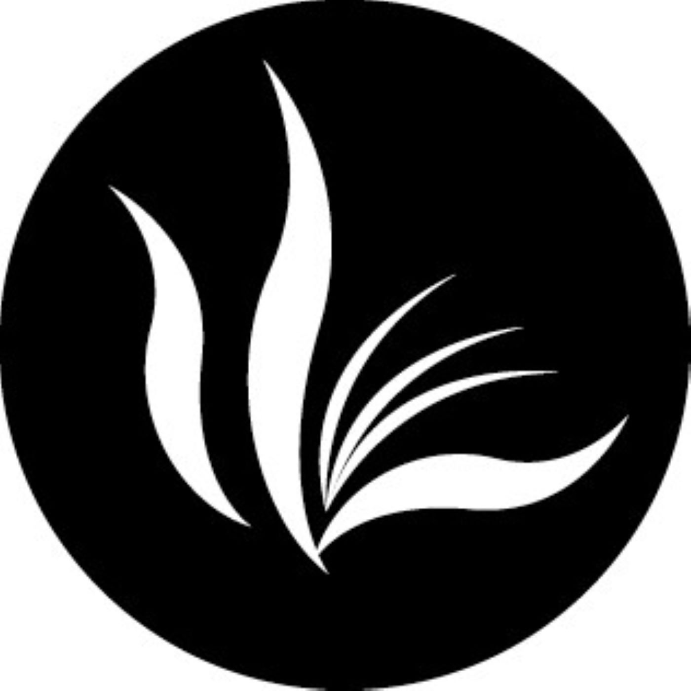 Dr. Noël Carroll, Journal of Aesthetic Education