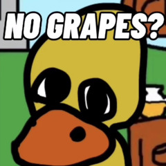 Not_A_Duck101
