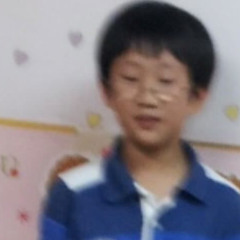 한국하마