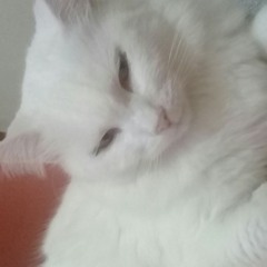 Martina