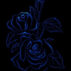 𝕹𝖔𝖙 𝖆𝖓𝖞𝖔𝖓𝖊'𝖘 𝖌𝖗𝖑💙✨(online)