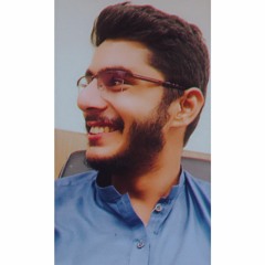 سید رضا زیدی