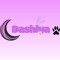 Dashlya