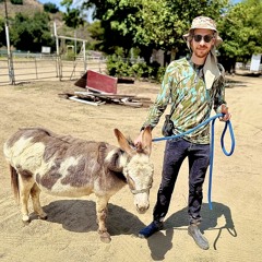 mikkleaux