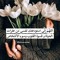 مصطفى صابر