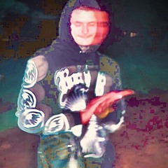 Paperboi_Tranq