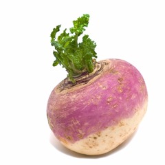 PINK TURNIP