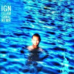 Islam Gamal El-Nemr