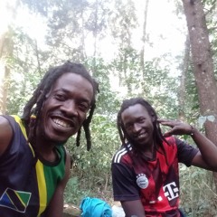 Bingi Rashid