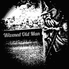 Wizened Old Man