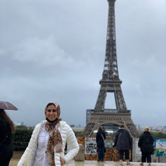 Aisha Aly