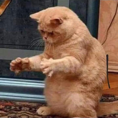 Trương Quỳnh Hương