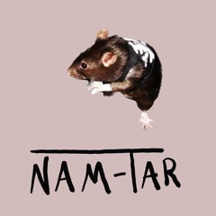 Nam-tar
