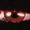 Version 4